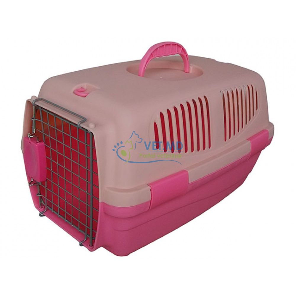 Cusca Transport 081